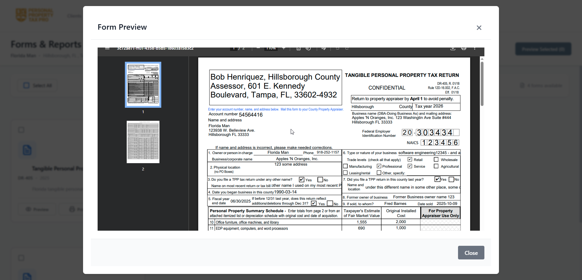Form Preview - Personal Property Tax Pro interface screenshot